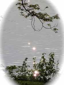 arrowheadwhitesparkle